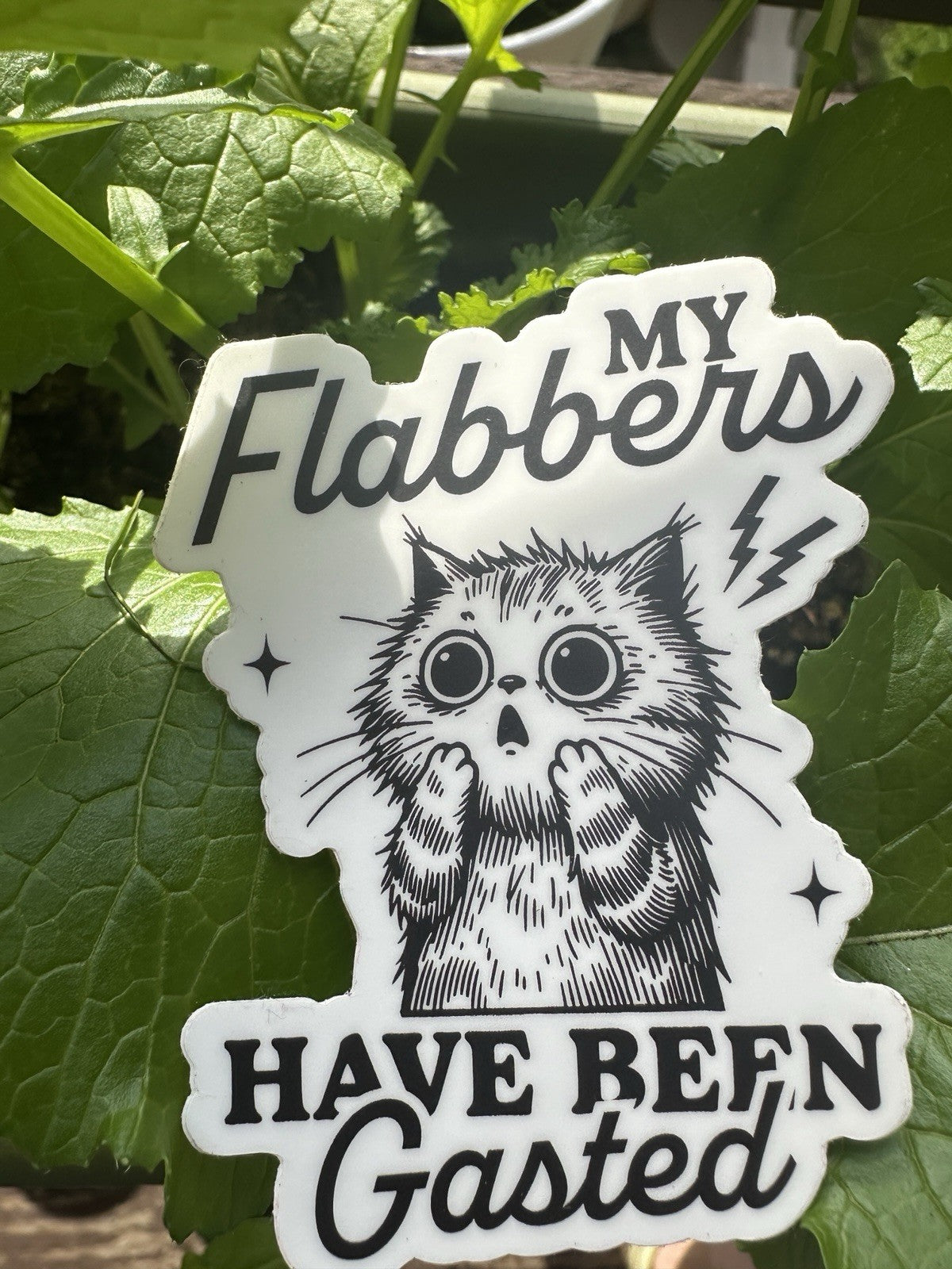 My Flabbers Have Been Gasted funny Sticker permanent vinyl decal waterproof NEW