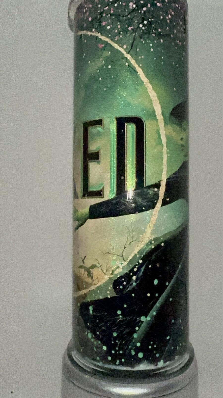 Wicked Movie HOLOGRAPHIC Elphaba Galinda 20 oz tumbler