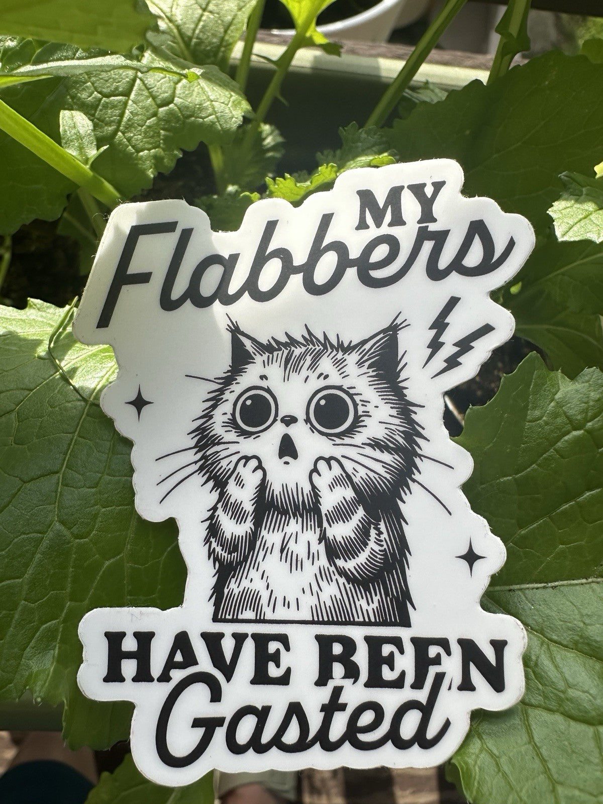 My Flabbers Have Been Gasted funny Sticker permanent vinyl decal waterproof NEW